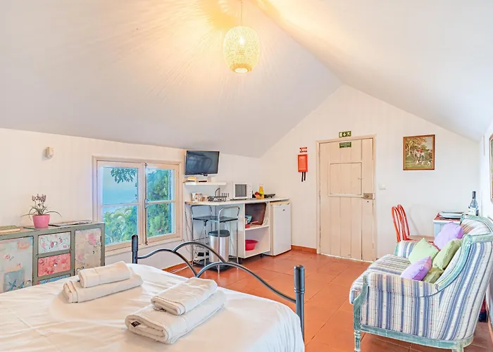 Historical Quinta Vista Mar Do Arco *